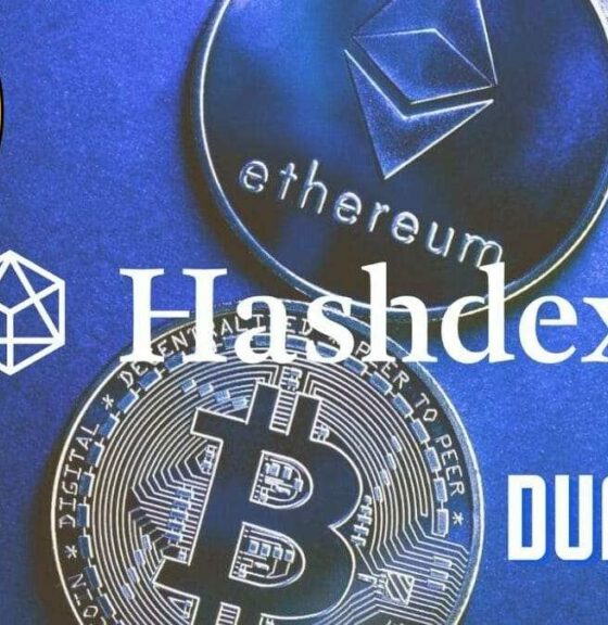 Hashdex Unveils Innovative Dual Crypto ETF Targeting Bitcoin and Ethereum